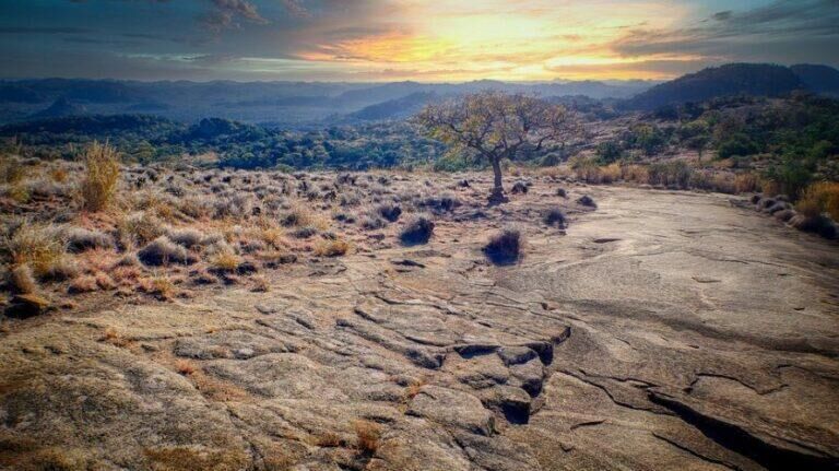 View over the landscape with a single tree, while the sun is setting