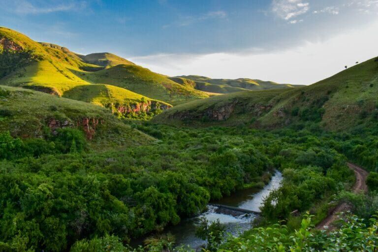 Conservation Hunting In Africa Upholding Ethical Practices for a Sustainable Future
