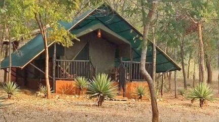 Leopard Hunting in Namibia & Brown Hyena Cancelation Hunt