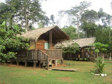 Leopard Hunting in Namibia & Brown Hyena Cancelation Hunt