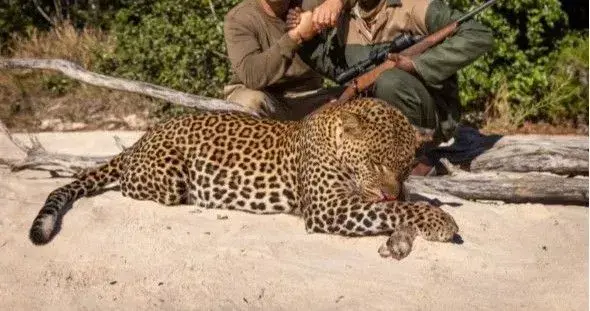 Grant - Niassa Outfitter