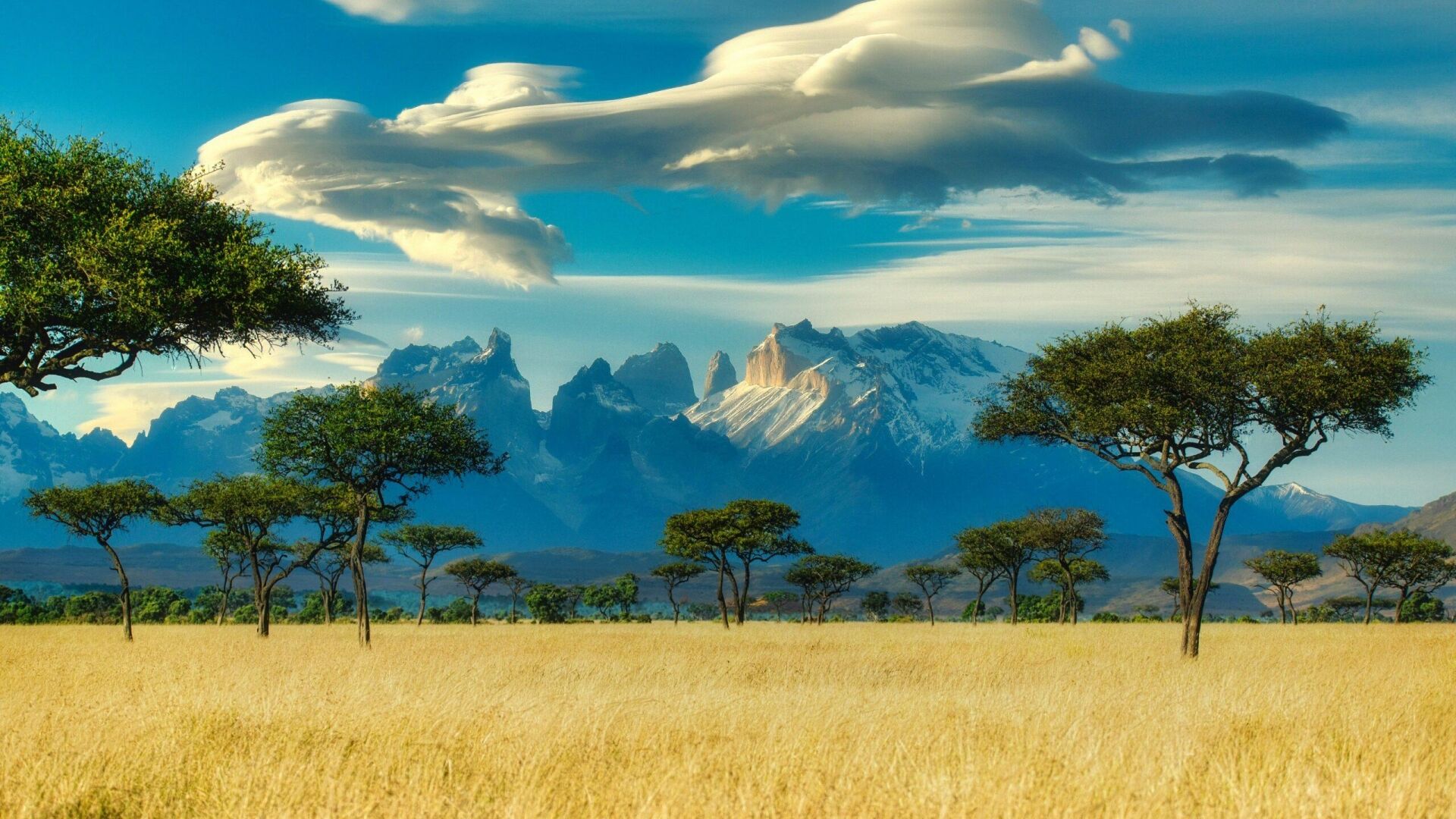 Game Hunting Safaris at USA Annual Sporting Exhibitions 2025