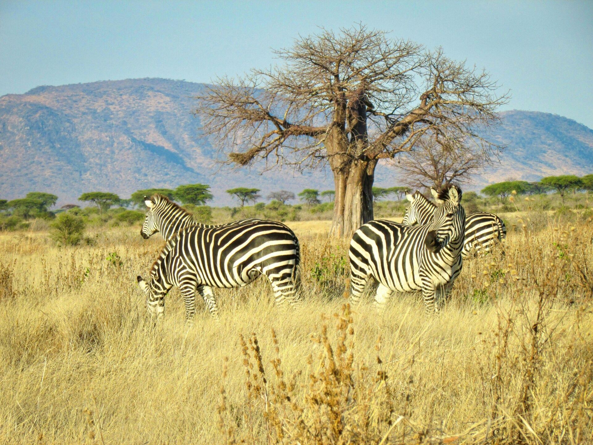 Moments From The Expeditions