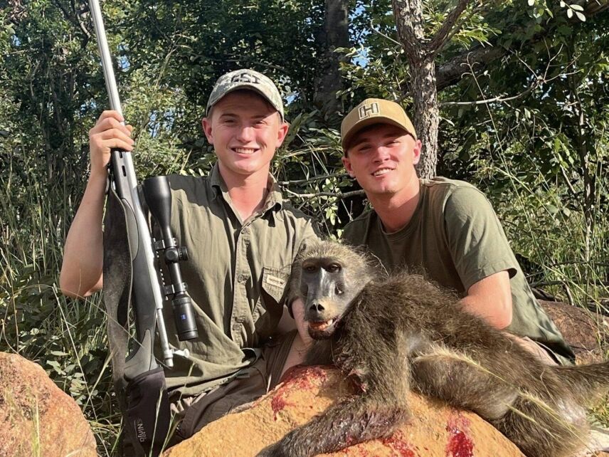 Baboon Hunting In Africa: Expert-Guided Safaris With GameHuntingSafaris.com for American Hunters