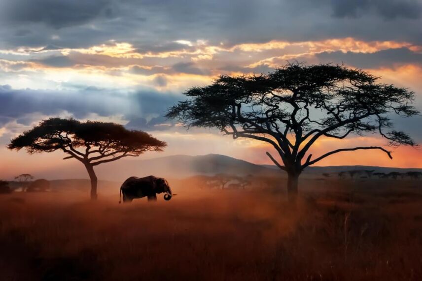 Looking Back: A Tanzania Hunting Safari In Old East Africa