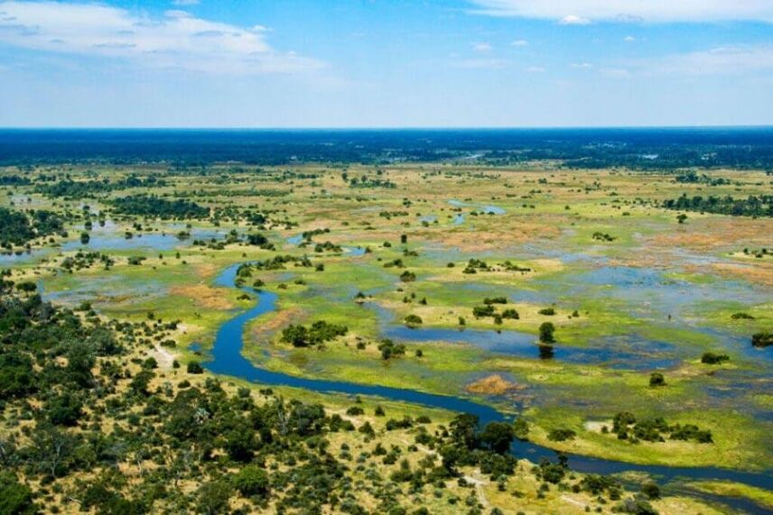Top Safari Hunting Destinations In Botswana: An Overview