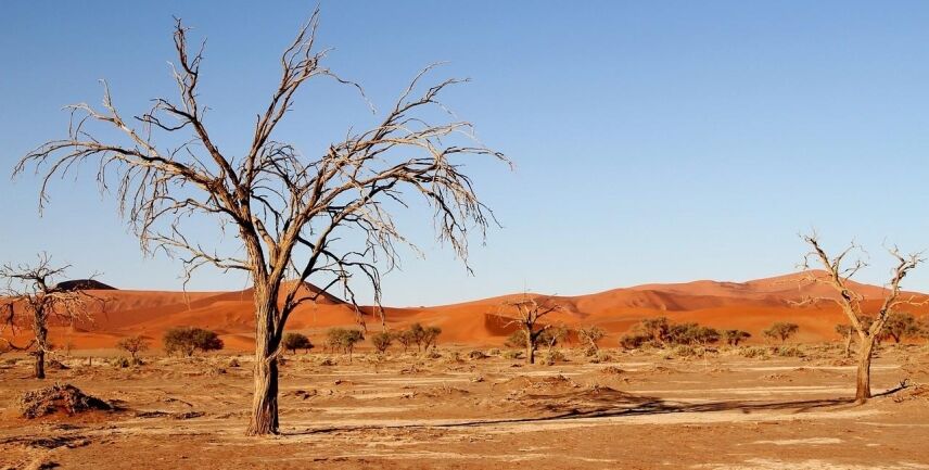 Budgeting For Your Kalahari Hunting Expedition: What You Need To Know