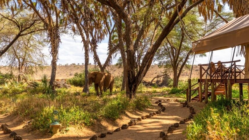 Luxury Hunting Lodges In Africa For Texan Hunters Seeking Adventure – Game Hunting Safaris