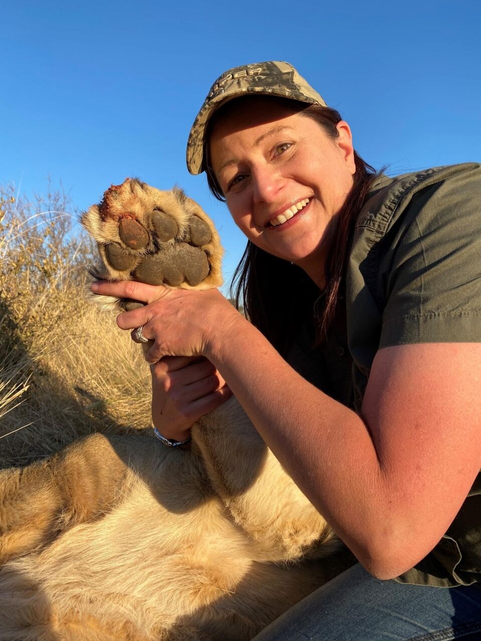 A Recount Of An African Lion Hunting Safari