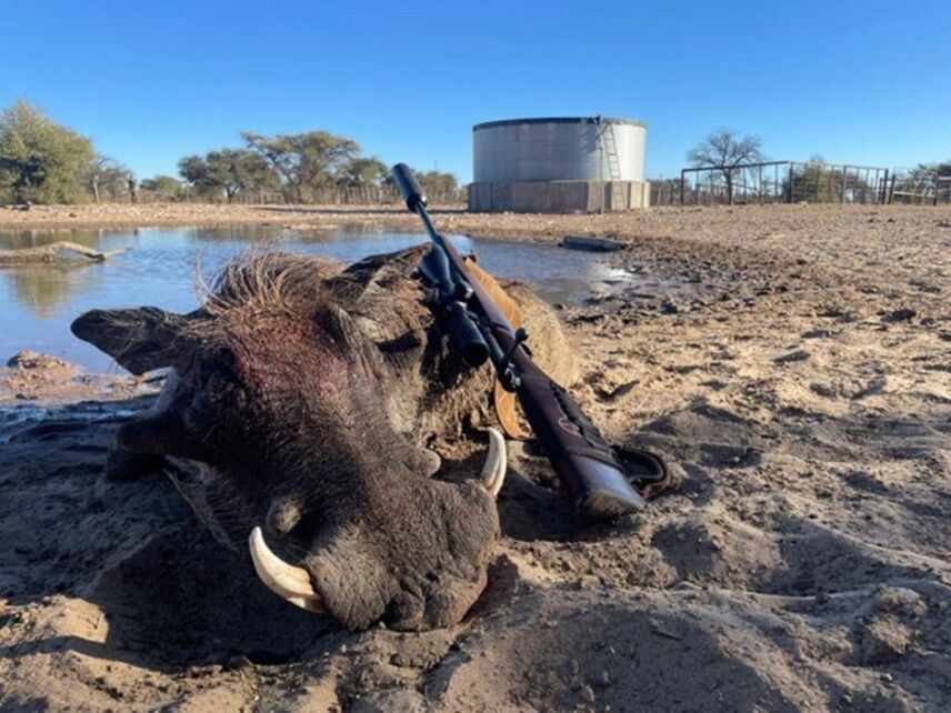An African Hunt: Traveling To & Exploring The Kalahari