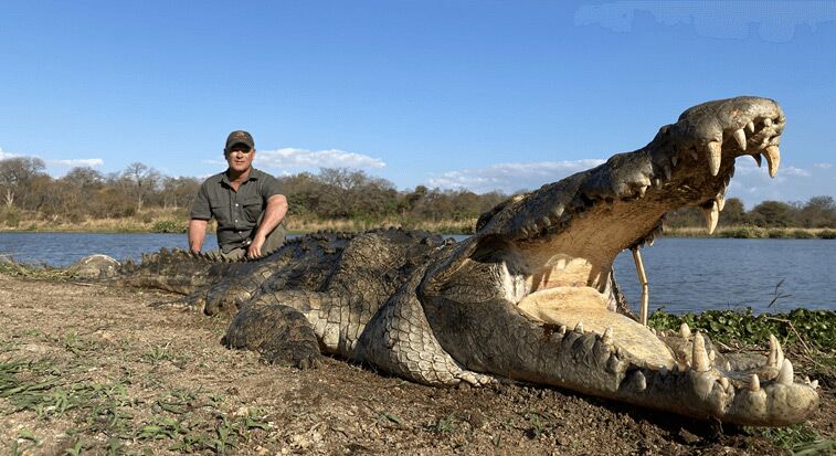 Crocodile Hunting in Africa
