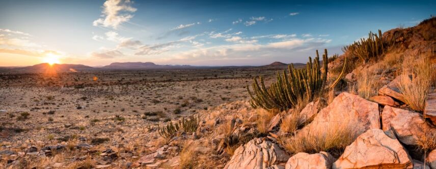 Unleashing The Wild: A Guide To Game Hunting In South Africa