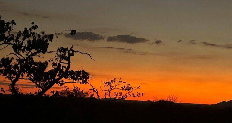 African sunset in the bushveld.