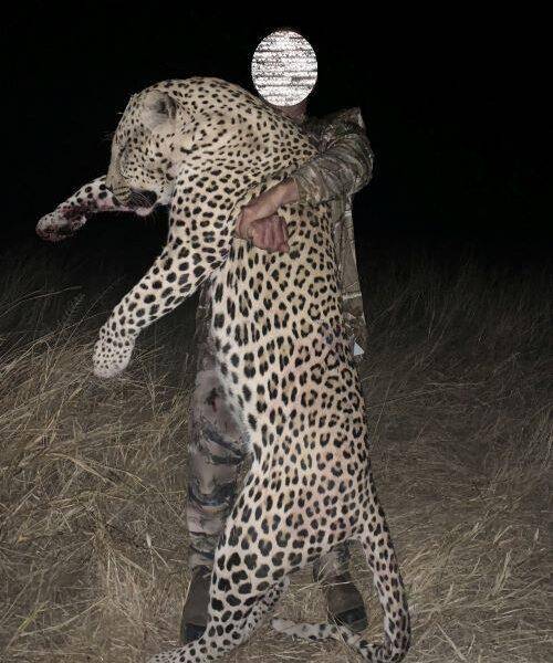 man holding the leopard he shot.