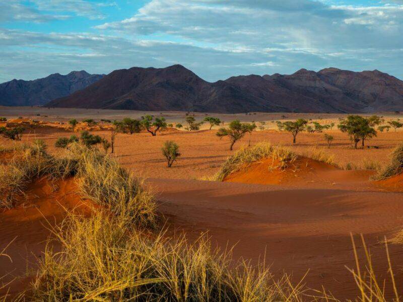 Namib Desert