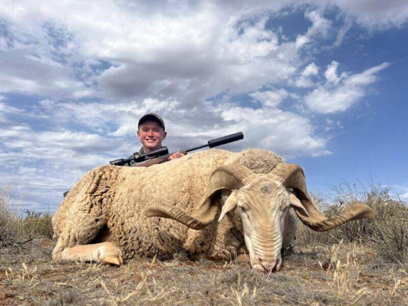 Man posing with his rifle behind a sheep he shot.