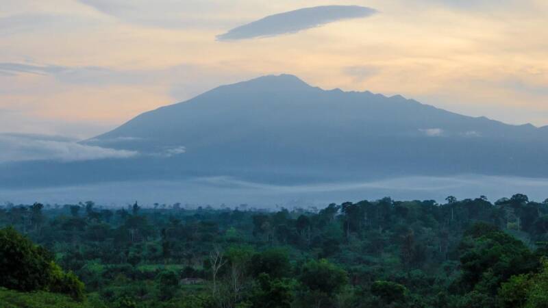 Cameroon Hunting Safari: A Reality-Check Guide for American and Canadian Hunters