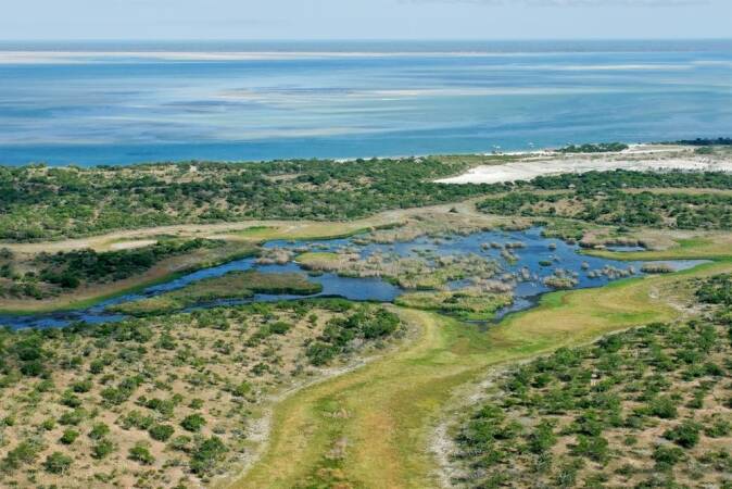 Mozambique Hunting Safaris — Remote, Unpredictable, and Not for Everyone