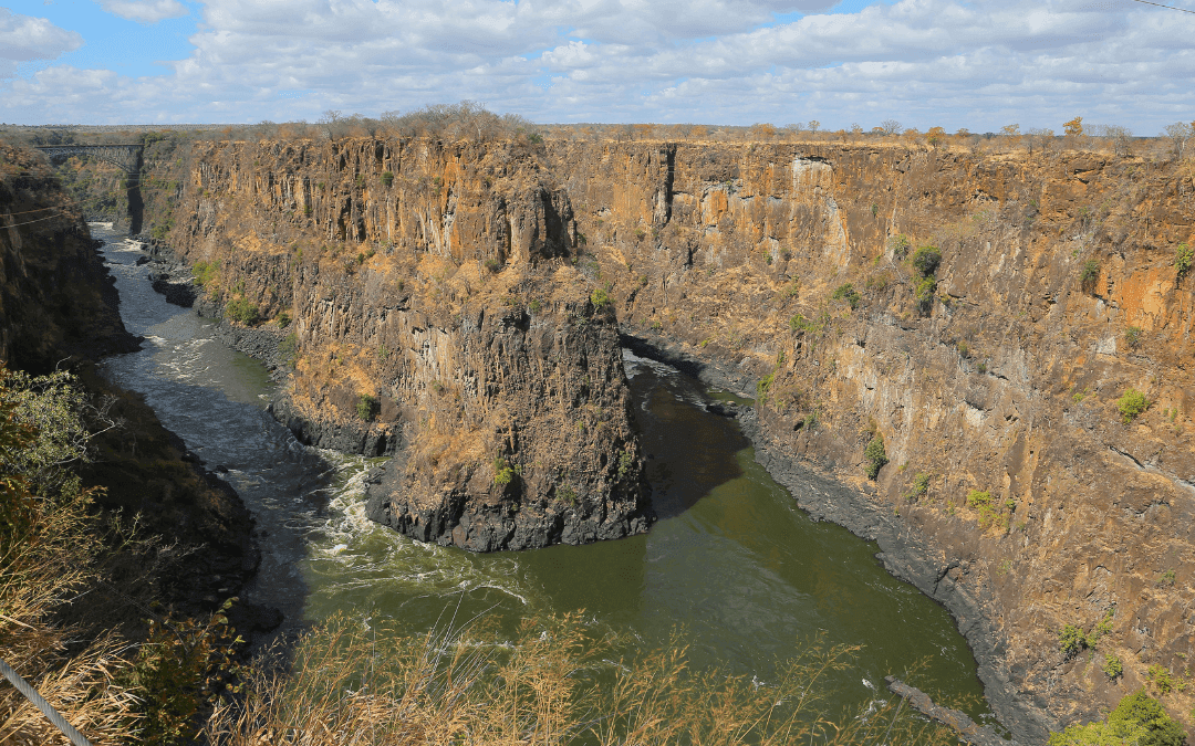 Sable Hunting in Zambia