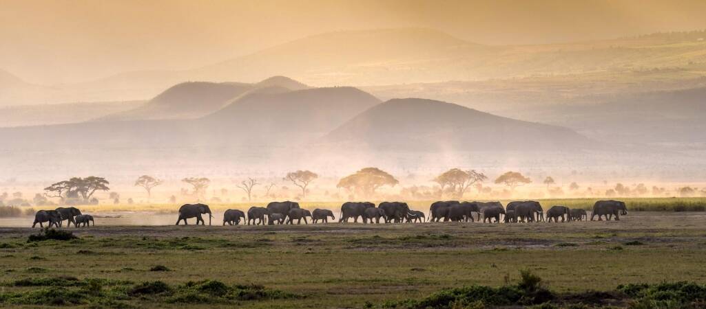 Tanzania Hunting Safaris