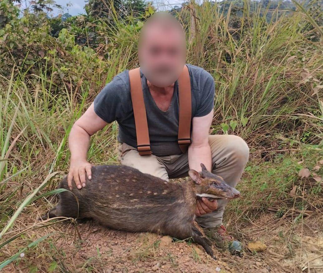 Water Chevrotain Hunting Safaris