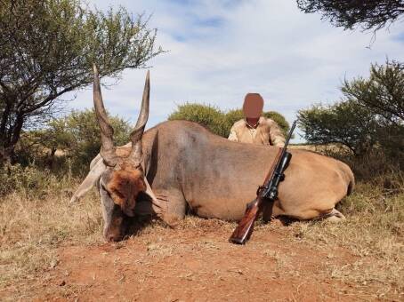 Hunt 11 Trophies on African Plains Game Safari in Limpopo 2x1 