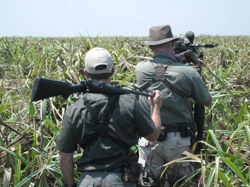 Buffalo hunting in Africa is not for the faint-hearted - or unfit!