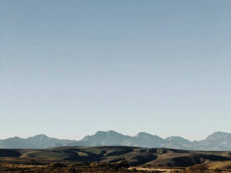 South Africa remains the premier destination for African hunts.