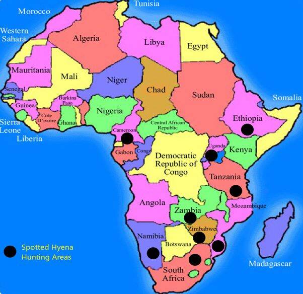 A map of African countries allowing Spotted Hyena hunting
