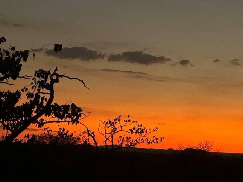 African sunset in the bushveld.