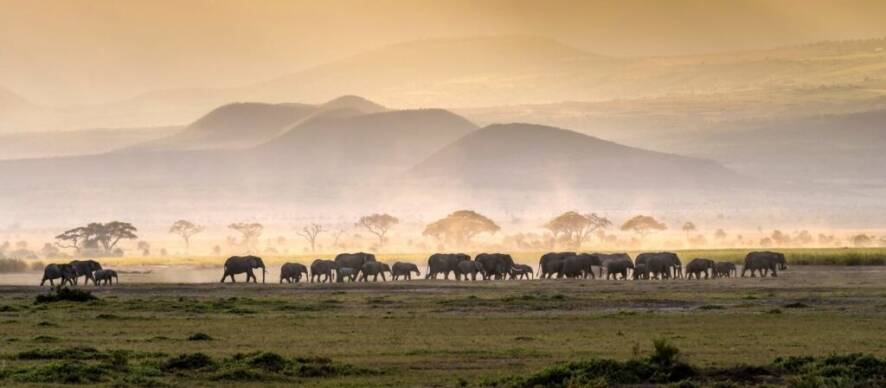 A sunset showing mountains in the distance, with wildlife walking in the front of the picture, at a distance