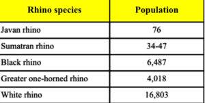 Rhino species and population